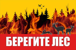 Берегите лес! Берегите лес!.